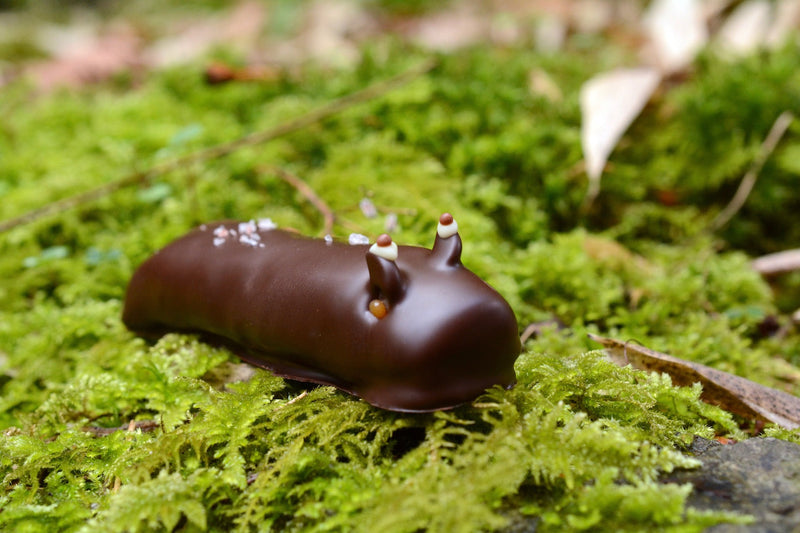Caramel Slug
