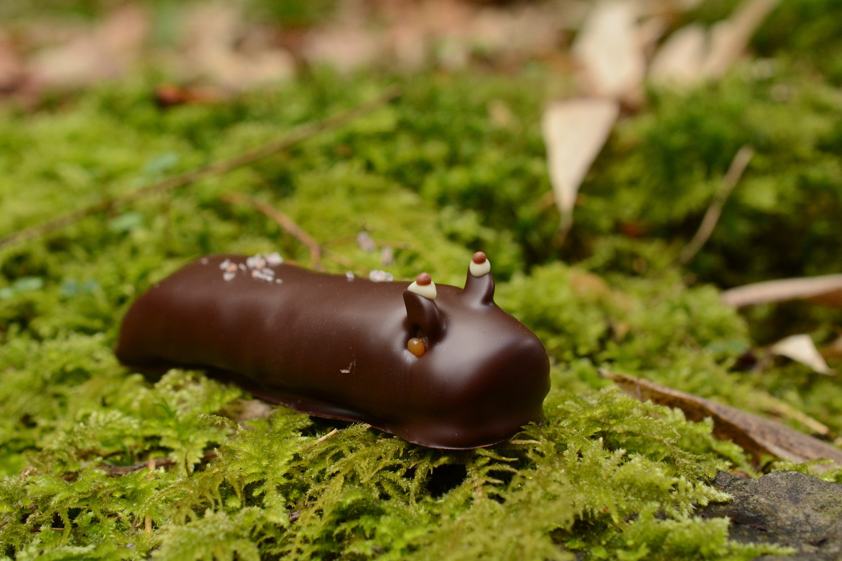 Caramel Slug